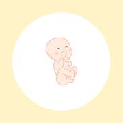 妊娠26週（7ヶ月）の妊婦・胎児の様子｜過ごし方や気になる症状