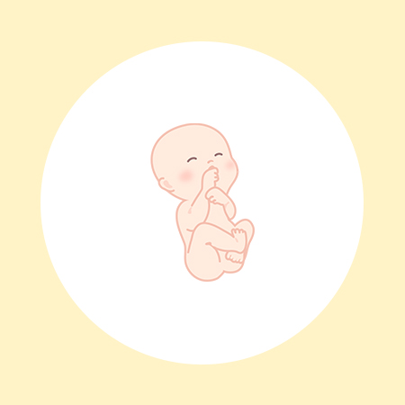 妊娠26週（7ヶ月）の妊婦・胎児の様子｜過ごし方や気になる症状