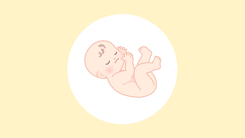 妊娠35週（9ヶ月）の妊婦・胎児の様子｜過ごし方や気になる症状