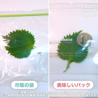 EC_LP用白完_E00138_料理研究家_浜内千波先生もオススメ!_野菜を長期間保存できるフードパック.00_00_19_24.静止画004