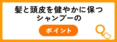 正しいシャンプーの方法で髪と頭皮を健やかに
