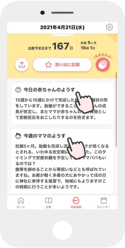 妊娠週数機能
