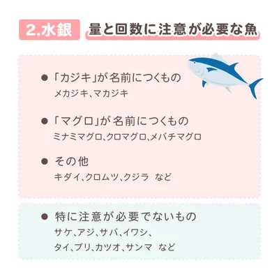 量と回数に注意が必要な魚