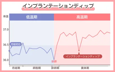 インプランテーションディップの体験談｜妊娠超初期の基礎体温や体調はどう変化する？