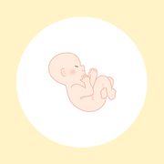 妊娠27週（7ヶ月）の妊婦・胎児の様子｜過ごし方や気になる症状