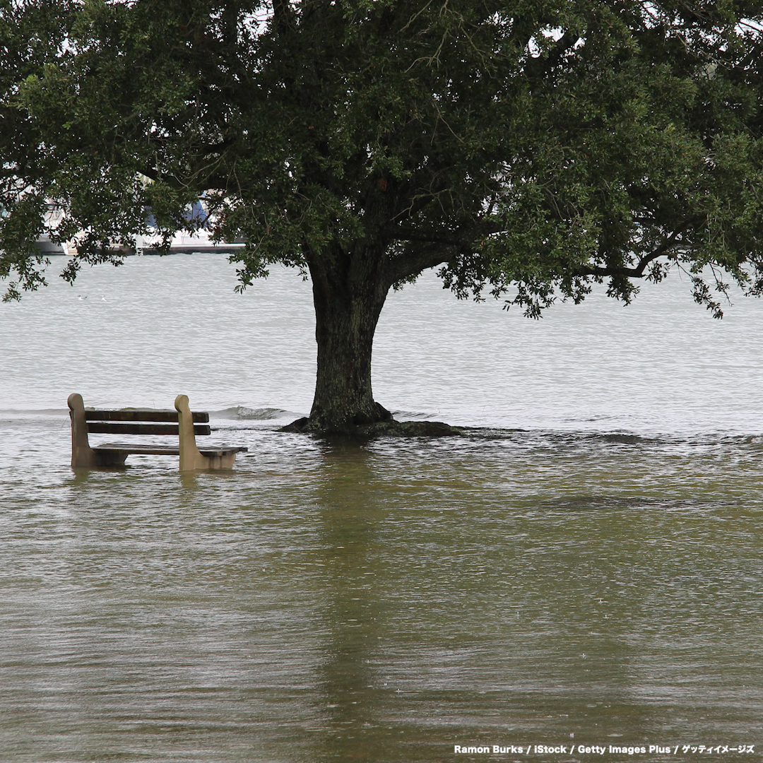 自然災害から命を守る　洪水が起きた場合の避難方法