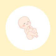 妊娠29週（8ヶ月）の妊婦・胎児の様子｜過ごし方や気になる症状