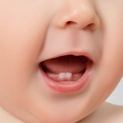 【2022年】乳歯ケースのおすすめ人気ランキング15選！保管のポイントも解説！