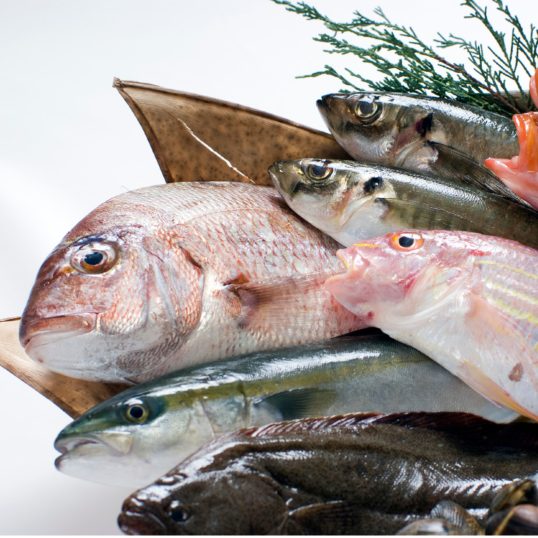 魚の離乳食おすすめレシピ選 使える魚の種類や保存方法も紹介 Mamadays ママデイズ