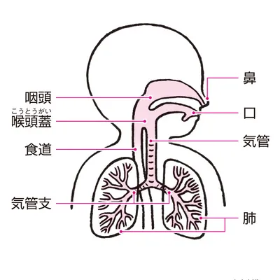 かぜ症候群