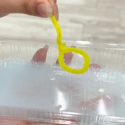 家にある材料で簡単に液を手作り