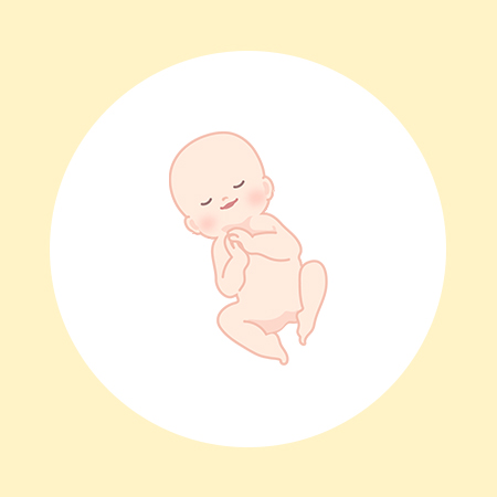 妊娠28週（8ヶ月）の妊婦・胎児の様子｜過ごし方や気になる症状