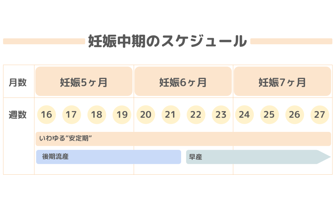 妊娠週数の計算方法は？出産予定日までのスケジュールや時期ごとの様子・変化も解説