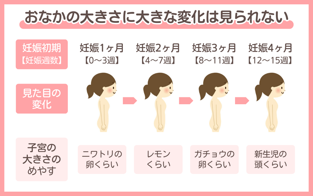 妊娠初期（妊娠1〜4ヶ月）｜よくある症状・過ごし方・赤ちゃんの様子を解説