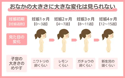 妊娠初期（妊娠1〜4ヶ月）｜よくある症状・過ごし方・赤ちゃんの様子を解説