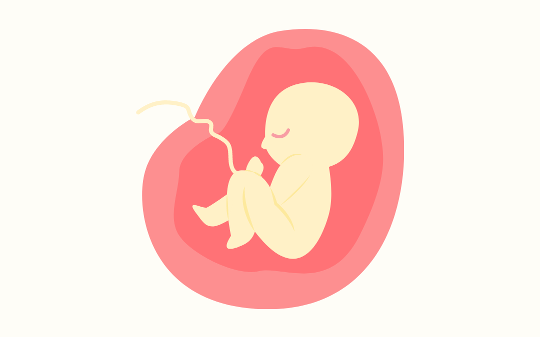 妊婦はもずくを食べてもいい？妊娠中にもずくを食べるときの注意点やメリットについて解説
