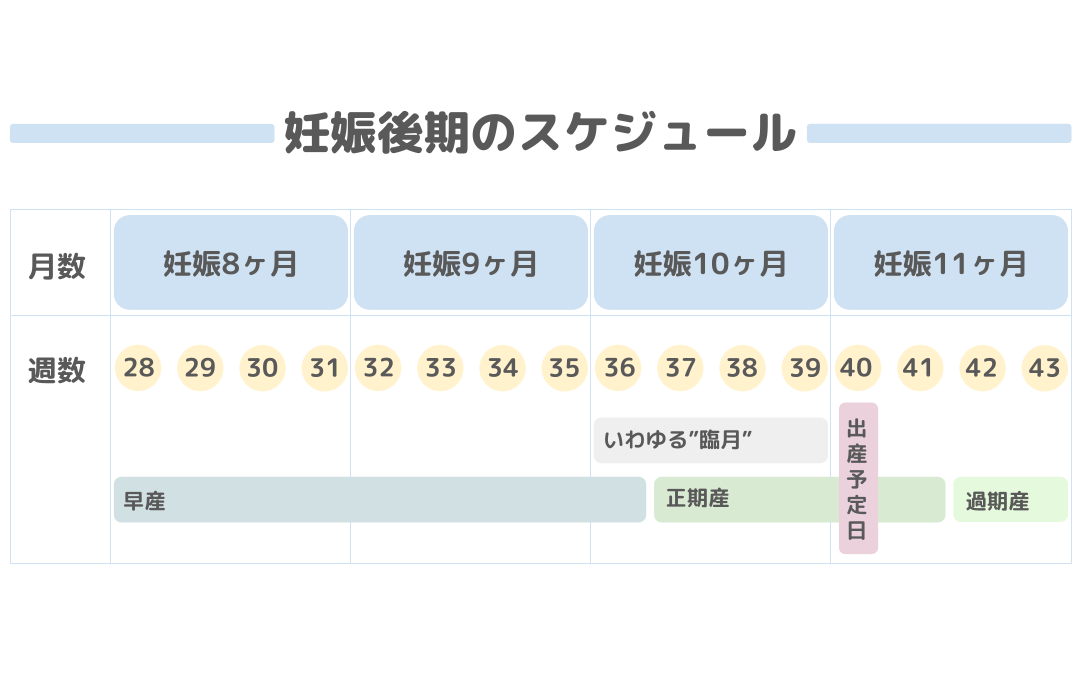 妊娠週数の計算方法は？出産予定日までのスケジュールや時期ごとの様子・変化も解説