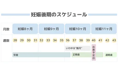 妊娠週数の計算方法は？出産予定日までのスケジュールや時期ごとの様子・変化も解説