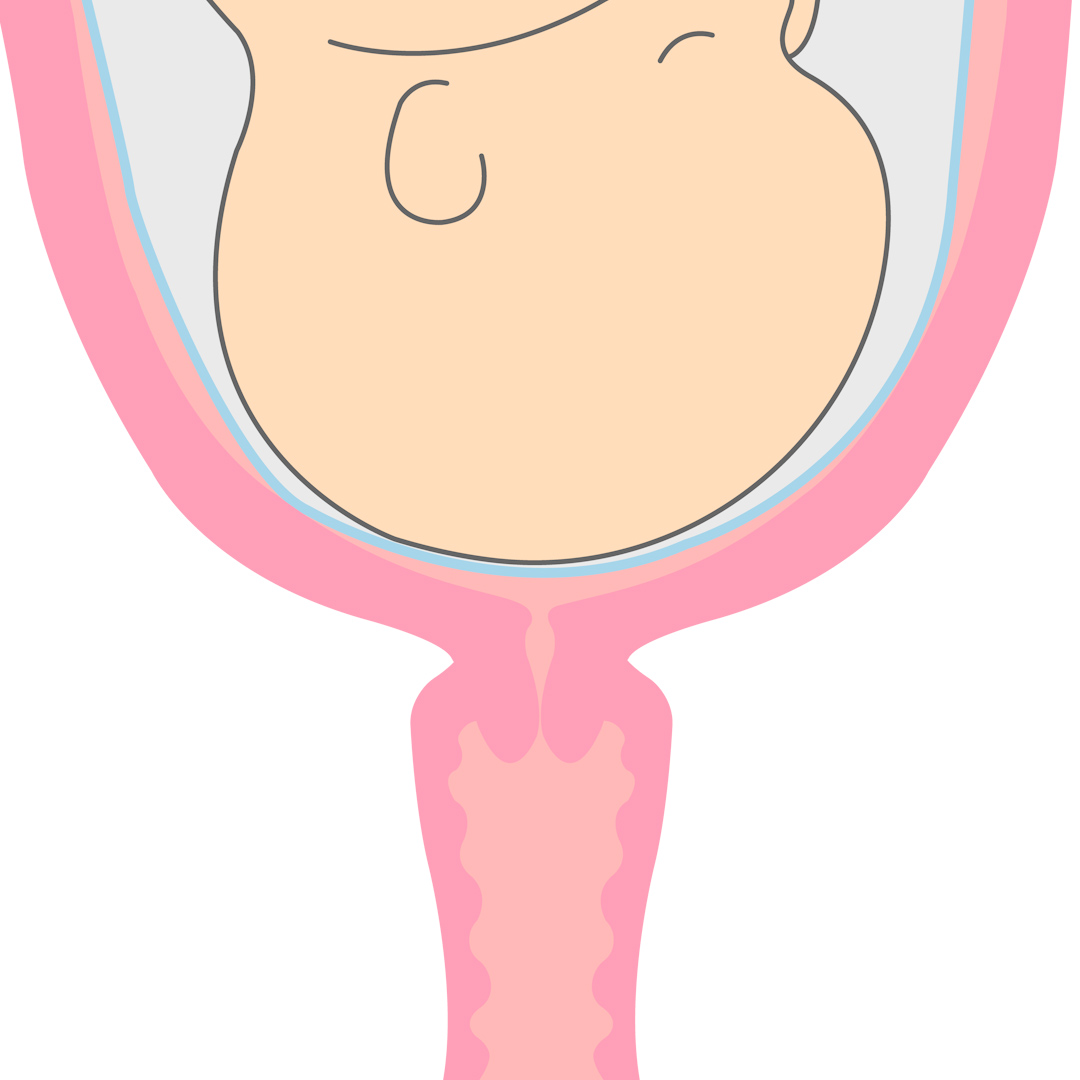 【産婦人科医監修】短いと早産に？　子宮頸管（しきゅうけいかん）の長さ