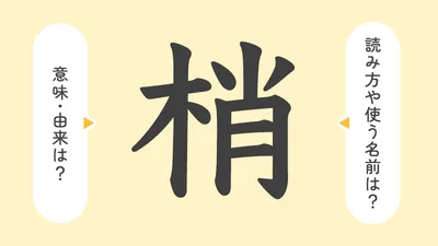 「梢」の意味や由来は？名前に込められる思いや名付けの例を紹介！