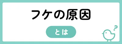 自分のフケの原因は？乾燥か皮脂かチェック！
