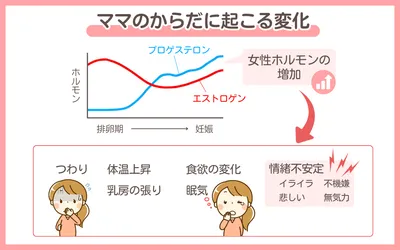 妊娠初期（妊娠1〜4ヶ月）｜よくある症状・過ごし方・赤ちゃんの様子を解説