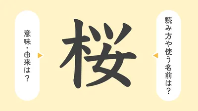 「桜」の意味や由来は？名前に込められる思いや名付けの例を紹介！