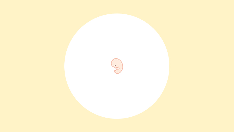 【医師監修】妊娠9週（3ヶ月）の妊婦・胎児の様子｜過ごし方や気になる症状