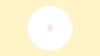 【医師監修】妊娠9週（3ヶ月）の妊婦・胎児の様子｜過ごし方や気になる症状