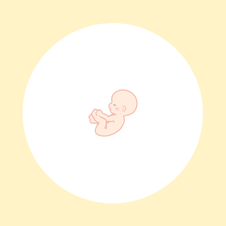 【医師監修】妊娠15週（4ヶ月）の妊婦・胎児の様子｜過ごし方や気になる症状