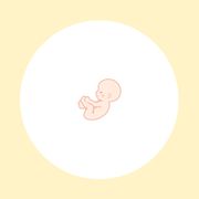 【医師監修】妊娠15週（4ヶ月）の妊婦・胎児の様子｜過ごし方や気になる症状