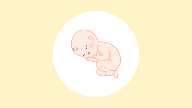 妊娠31週（8ヶ月）の妊婦・胎児の様子｜過ごし方や気になる症状