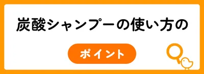 ヘッドスパ気分が味わえる炭酸シャンプーの使い方
