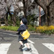 きみどり