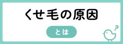 くせ毛の原因って?治せるの?