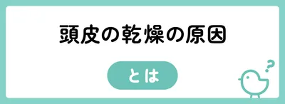 頭皮の乾燥の原因として考えられること
