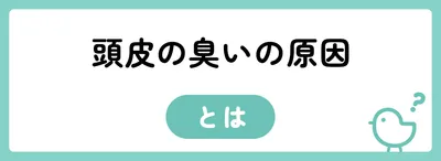 頭皮の臭いの原因と臭いを防ぐ方法
