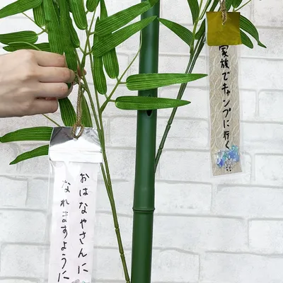 簡単なのに思い出に残る!七夕は手作り短冊で