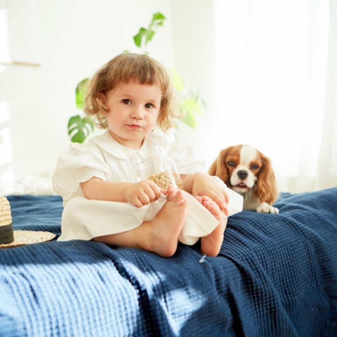 子どもがベッドで寝るのはいつから おすすめ子ども用ベッドも Mamadays ママデイズ