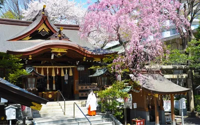 東京でおすすめの子宝神社7選！子授け祈願できるのはどこ？ご利益や歴史なども紹介