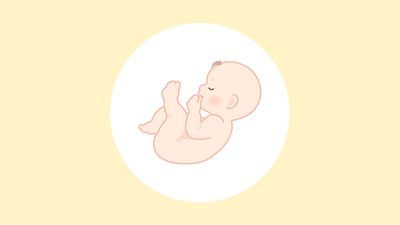 妊娠32週（9ヶ月）の妊婦・胎児の様子｜過ごし方や気になる症状
