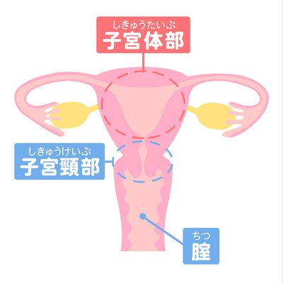 子宮体がんとは?原因や症状について_WEB