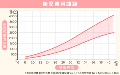 W00706_胎児発育曲線グラフ