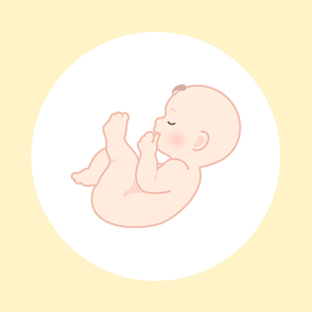 妊娠32週（9ヶ月）の妊婦・胎児の様子｜過ごし方や気になる症状