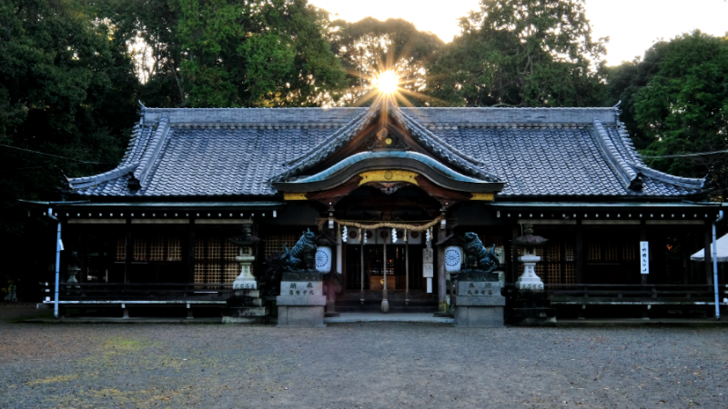 大阪でおすすめの子宝神社7選！パワースポットの選び方・参拝時のマナーも紹介