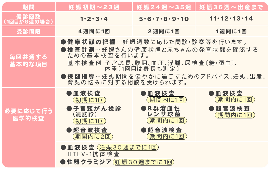 医師監修 妊婦健診の出産までのスケジュールは Mamadays ママデイズ