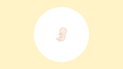 【医師監修】妊娠13週（4ヶ月）の妊婦・胎児の様子｜過ごし方や気になる症状