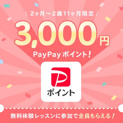 (PR)通常4,400円のレッスンが無料&選べるPay3,000円分プレゼント！の画像